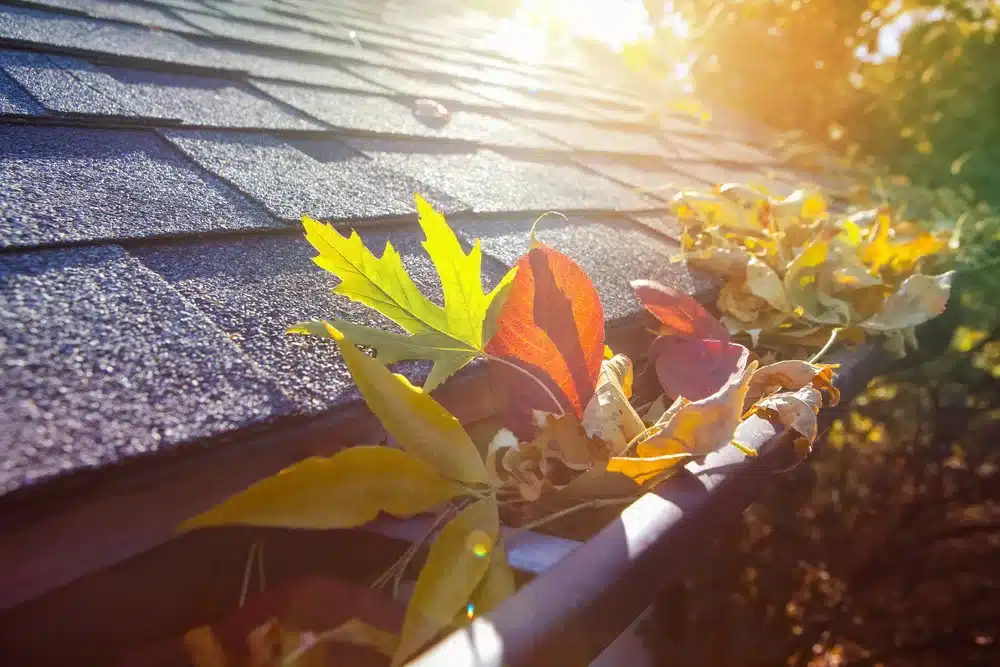 fall roof maintenance autumn