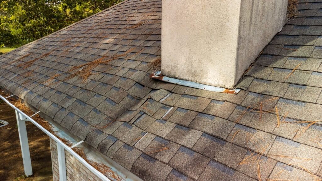 What to Do When You Have a Leaking Roof