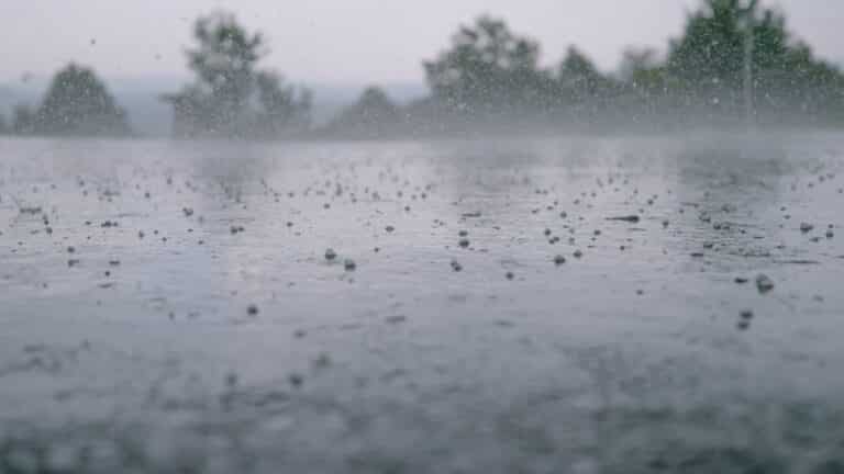 LOW ANGLE, CLOSE UP, DOF: Small pellets of ice fall on the wet concrete ground during hailstorm on a gloomy summer day. Cinematic shot of hail falling on the asphalt during a heavy tropical rainstorm.