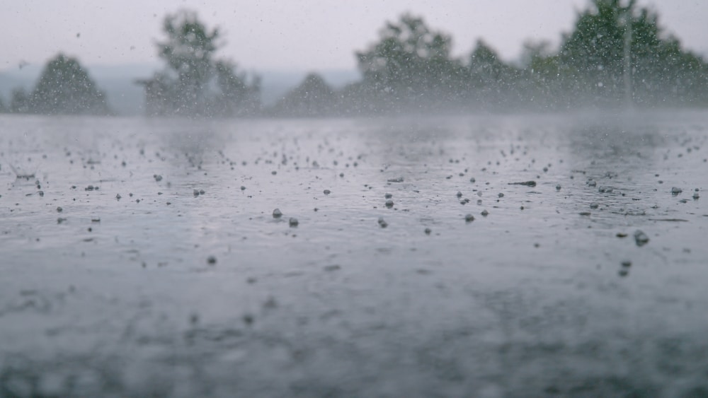 LOW ANGLE, CLOSE UP, DOF: Small pellets of ice fall on the wet concrete ground during hailstorm on a gloomy summer day. Cinematic shot of hail falling on the asphalt during a heavy tropical rainstorm.