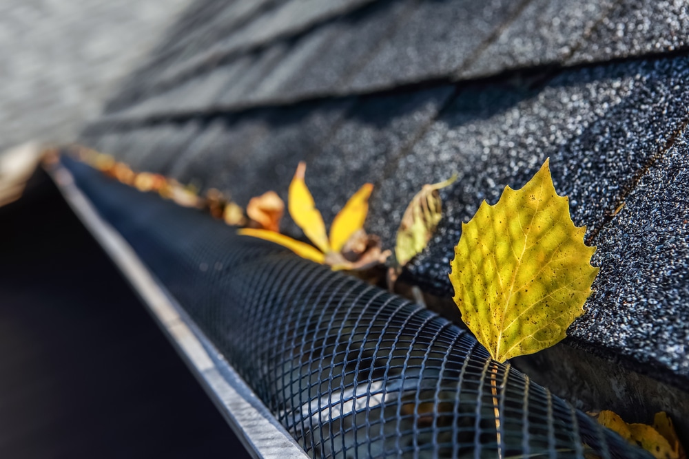 Plastic guard over gutter on a roof with leaves stuck on the outside of the mesh